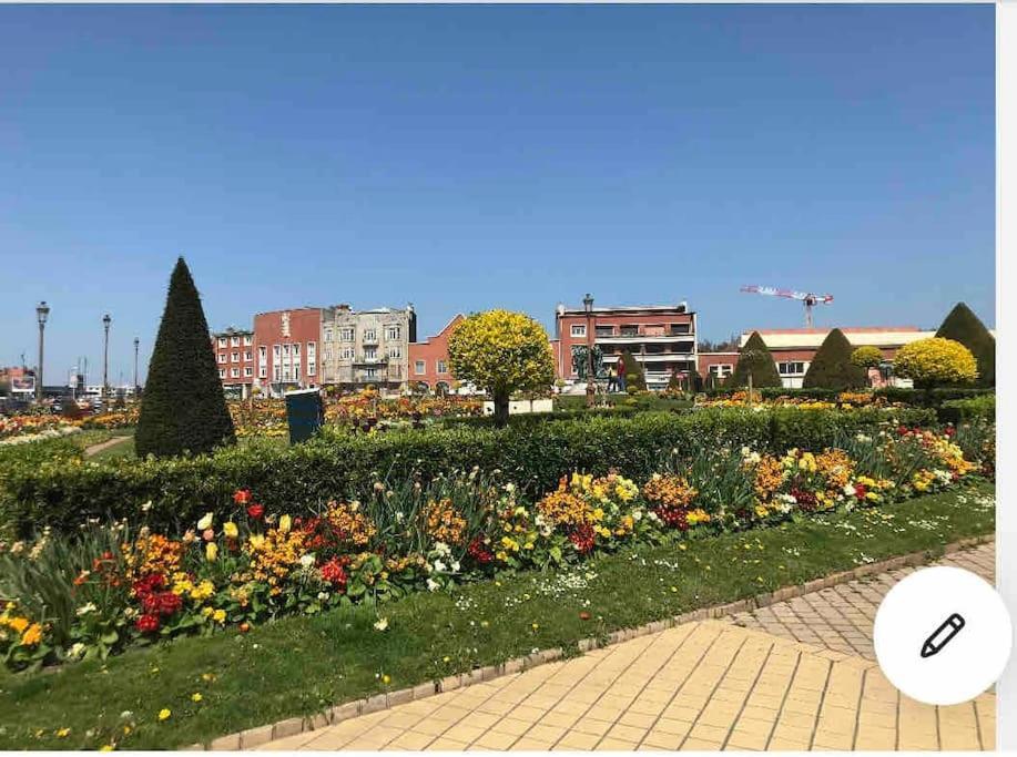 Casa Inca Calais - Duplex Soleil Latino - Parking Free, Station Apartman Kültér fotó